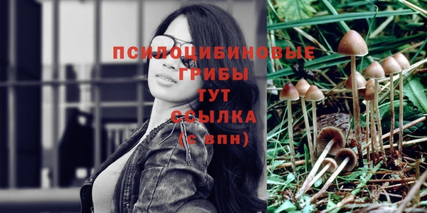 ГАЛЛЮЦИНОГЕННЫЕ ГРИБЫ Абинск