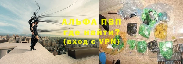 a pvp Абаза