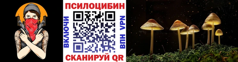 Галлюциногенные грибы Psilocybine cubensis  Нариманов 